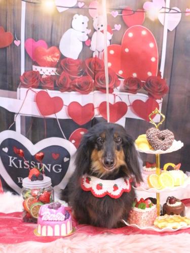 20250216オレンジくん